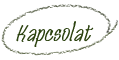 Kapcsolat