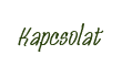 Kapcsolat